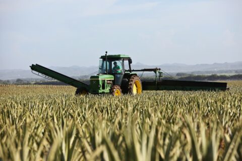 traktor pracuje na polu