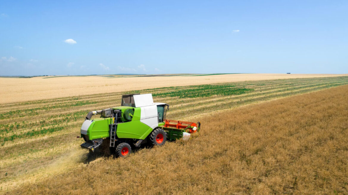 kombajn zbożony na polu